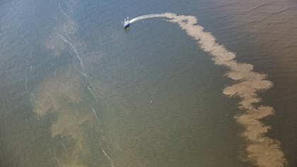 Legal action launched against bottom trawling in the German Wadden Sea
