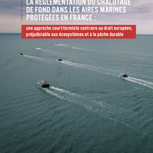 La réglementation du chalutage de fond dans les aires marines protégées en France