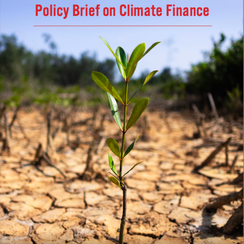 EJF’s Policy Brief on Climate Finance