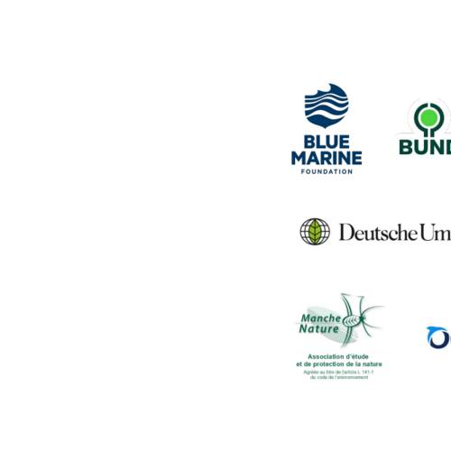 New coalition launches to defend Europe's seas through the courts