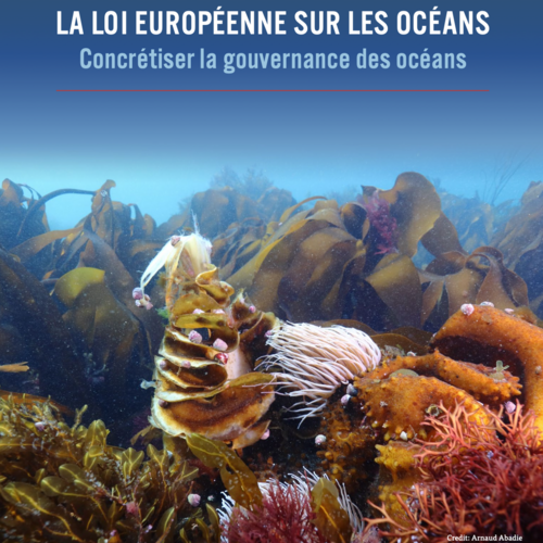 La loi européenne sur les océans: Concrétiser la gouvernance des océans