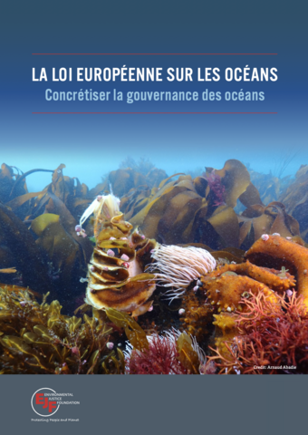 La loi européenne sur les océans: Concrétiser la gouvernance des océans