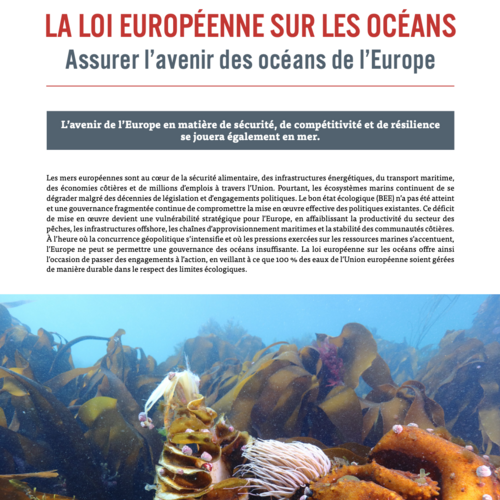 La loi européenne sur les océans : Assurer l’avenir des océans de l’Europe