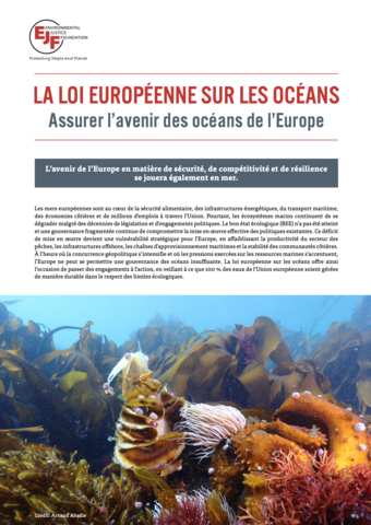 La loi européenne sur les océans : Assurer l’avenir des océans de l’Europe