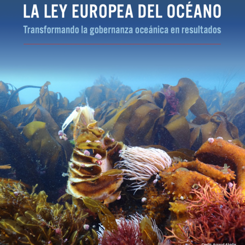 La Ley Europea del Océano: Transformando la gobernanza oceánica en resultados