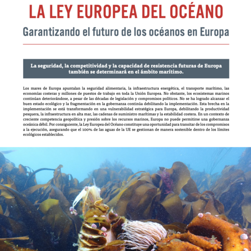 La Ley Europea de los Océanos: Garantizando el futuro de los océanos en Europa