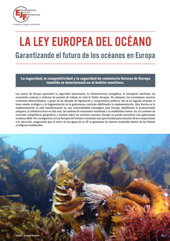La Ley Europea de los Océanos: Garantizando el futuro de los océanos en Europa
