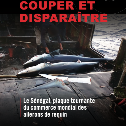 Couper et disparaître: le Sénégal, plaque tournante du commerce mondial des ailerons de requin