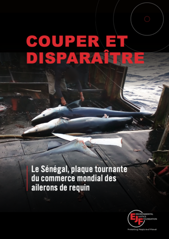 Couper et disparaître: le Sénégal, plaque tournante du commerce mondial des ailerons de requin