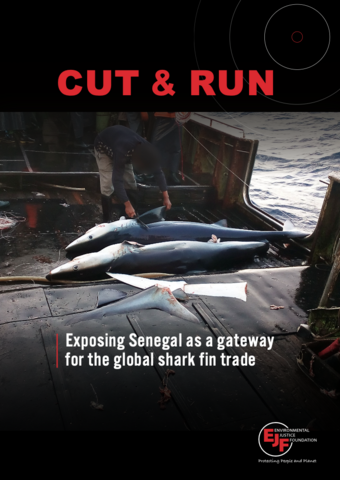 Cut & Run: Exposing Senegal as a gateway for the global shark fin trade