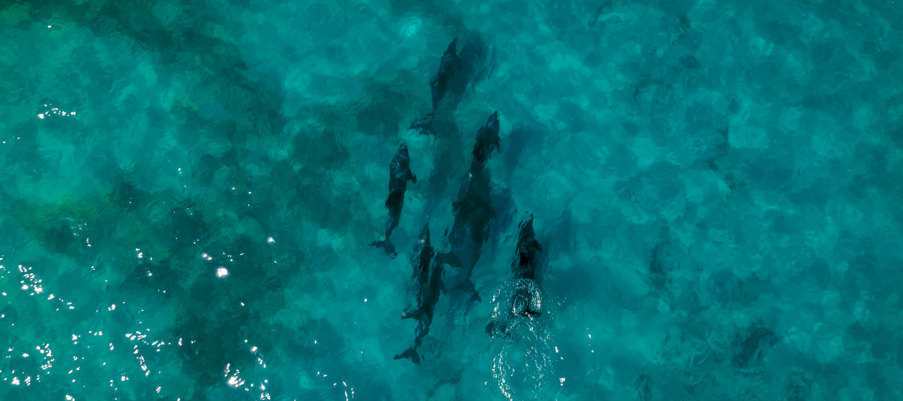 DJI 20240128070744 0009 D 3