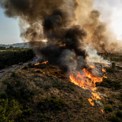 'The climate alarm is blaring'