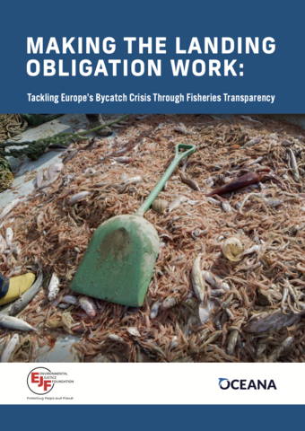 Making the Landing Obligation Work: Tackling Europe’s Bycatch Crisis Through Fisheries Transparency