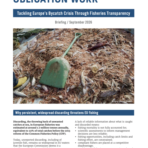 Making the Landing Obligation Work: Tackling Europe’s Bycatch Crisis Through Fisheries Transparency - Summary