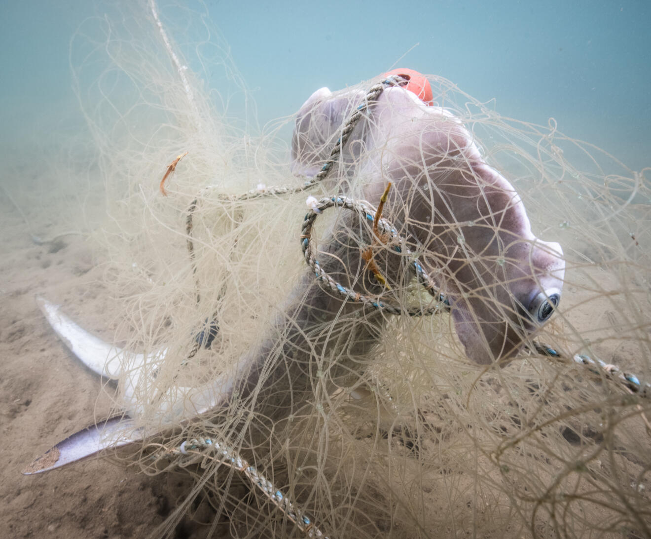 Ocean Image Bank Toby Matthews 32