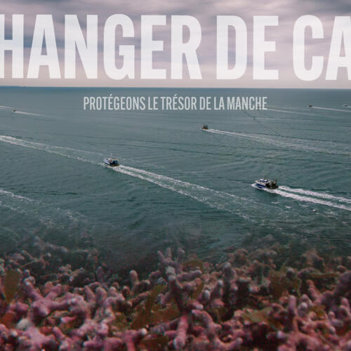 Chausey's 'pink treasure': new EJF film reveals the centuries-old seabed at stake off the Normandy coast