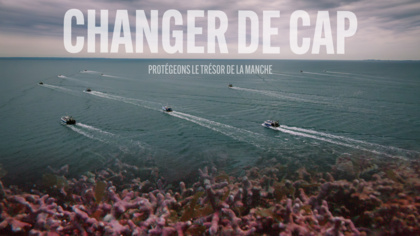Chausey's 'pink treasure': new EJF film reveals the centuries-old seabed at stake off the Normandy coast