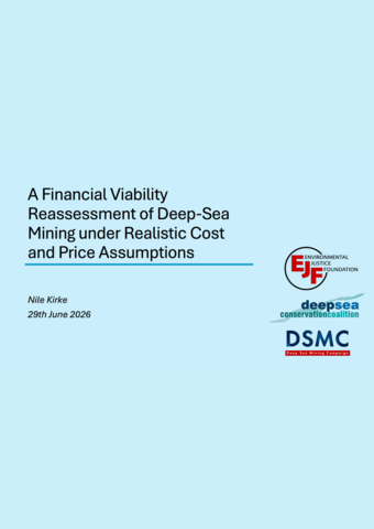 A financial viability reassessment of deep-sea mining under realistic cost and price assumptions