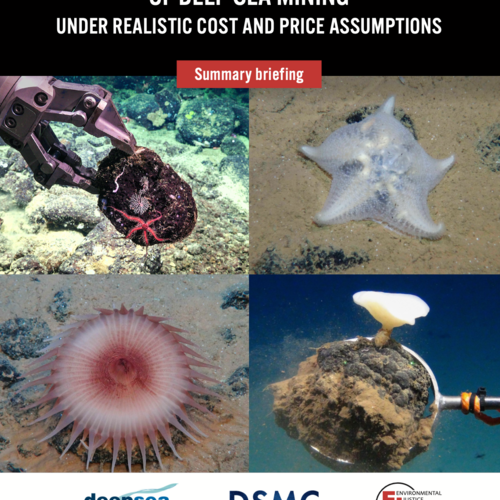 Summary briefing: Financial viability reassessment of deep-sea mining under realistic cost and price assumptions