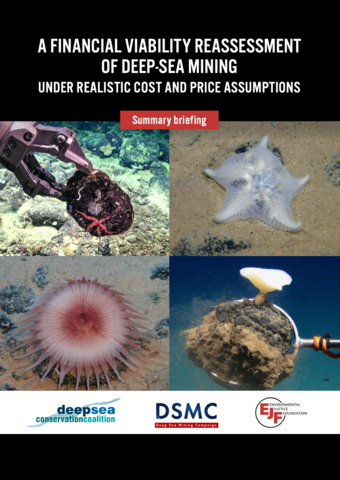 Summary briefing: Financial viability reassessment of deep-sea mining under realistic cost and price assumptions