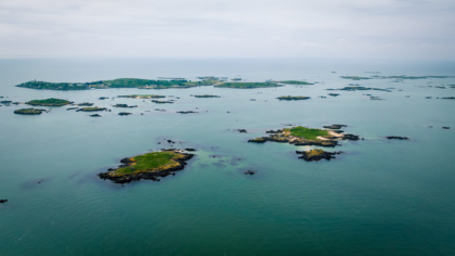 European Court of Auditors slams EU policymakers for marine protection failures