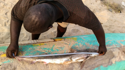 EJF in the field: the next steps in Liberia