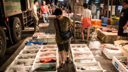 Collaboration essential to ensure illegal fish cannot travel in and around the EU