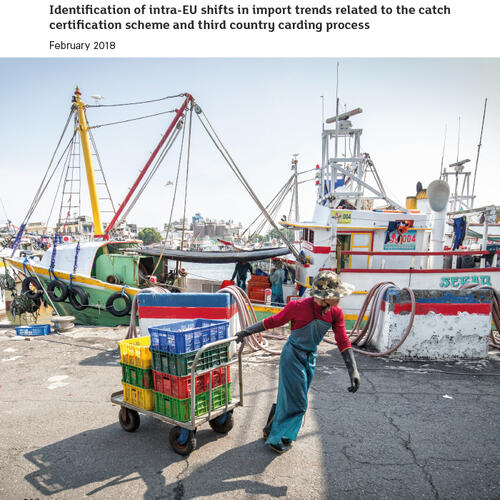 The Impact of the IUU Regulation on Seafood Trade Flows