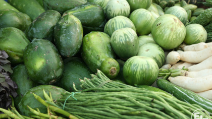 EJF is going plastic free