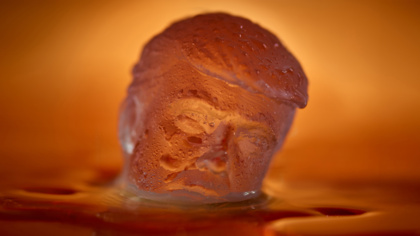 Let your troubles melt away with Donald Trump ice cubes
