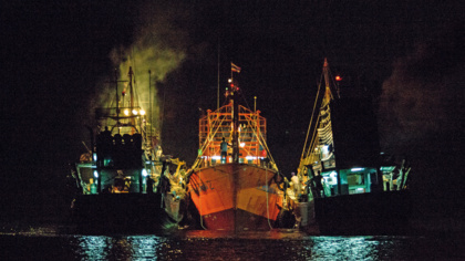 Progress must be sustained: EU re-issues trade warning for Panama’s illegal fishing