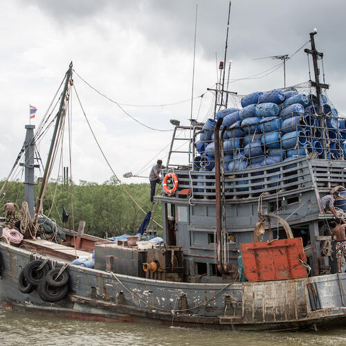 As EU extends warning over Thailand’s illegal fishing, EJF highlights improvements needed