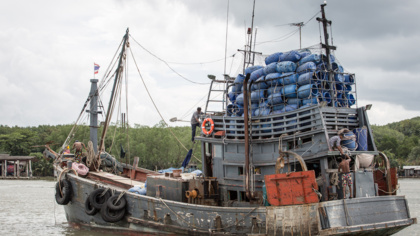 As EU extends warning over Thailand’s illegal fishing, EJF highlights improvements needed