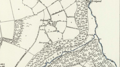 Climate commitment: EJF buys ancient woodland