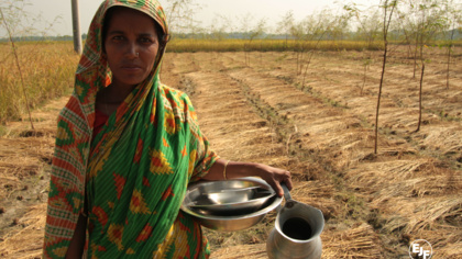 Women and climate justice: EJF commends new resolution from European Parliament