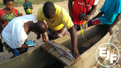 Citizen scientists from Liberian fishing communities work to protect sharks and rays