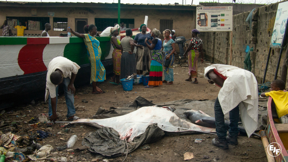 Ivory Coast1