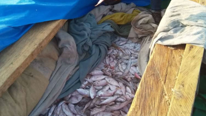 Ghana steps up the fight against illegal fishing practices