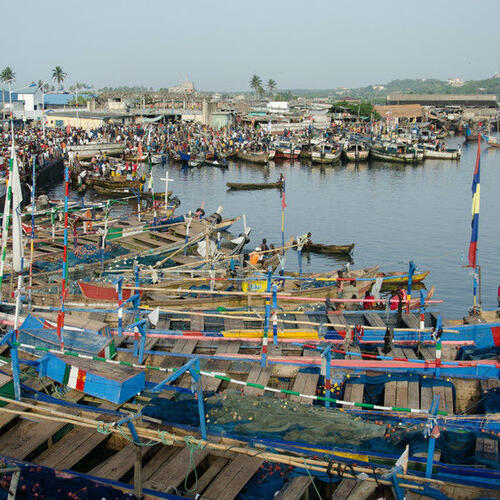 New film reveals extent of Ghana’s fishing crisis