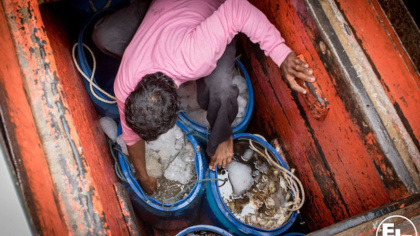 Thailand must stand strong to eliminate human rights abuse from its fishing industry