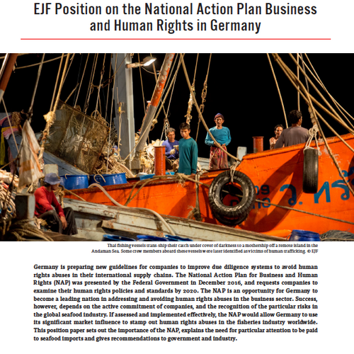 EJF Position on the National Action Plan Business and Human Rights in Germany