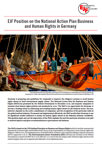 EJF Position on the National Action Plan Business and Human Rights in Germany