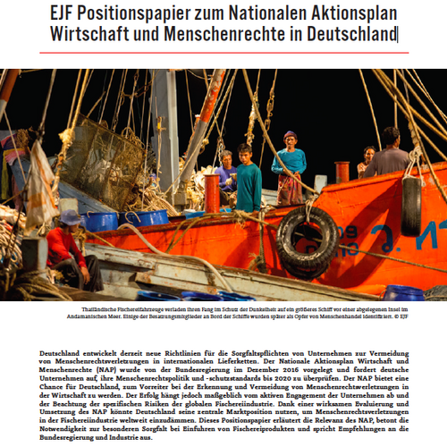 EJF Positionspapier zum Nationalen Aktionsplan Wirtschaft und Menschenrechte in Deutschland