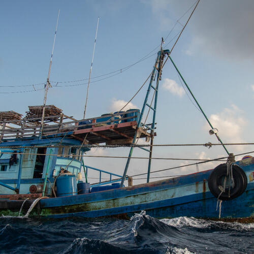 Improving Transparency in fisheries