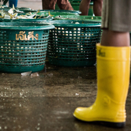 Menschenrechtsverletzungen in der Fischereiindustrie enthüllt