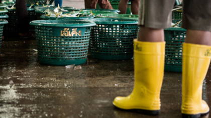 Menschenrechtsverletzungen in der Fischereiindustrie enthüllt