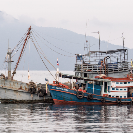 Risikoprüfung von Fischerei-Lieferketten: Ratgeber veröffentlicht