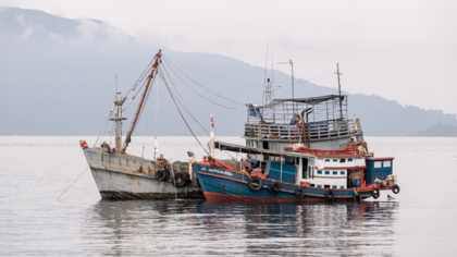 Risikoprüfung von Fischerei-Lieferketten: Ratgeber veröffentlicht