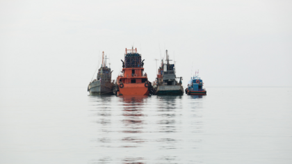 10 Jahre IUU-Verordnung: Auswirkungen auf Handelsströme