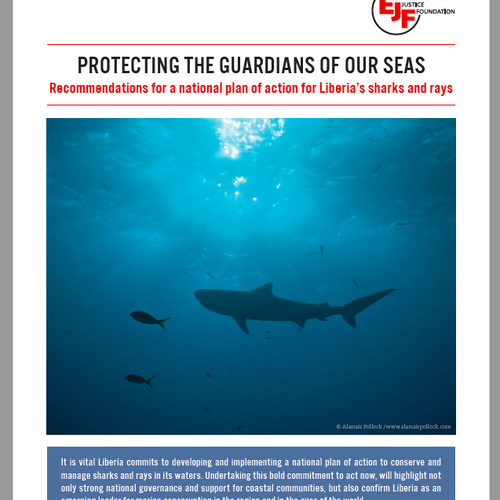 Protecting the guardians of our seas: Recommendations for a national plan of action for Liberia’s sharks and rays